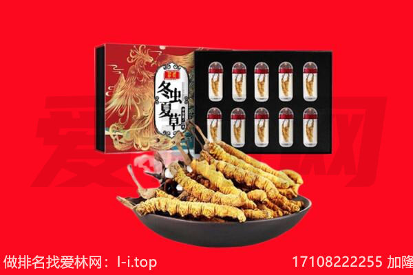 城西区回收虫草.jpg